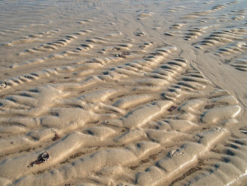 Sustainable Textiles
